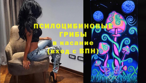 стаф Алексин
