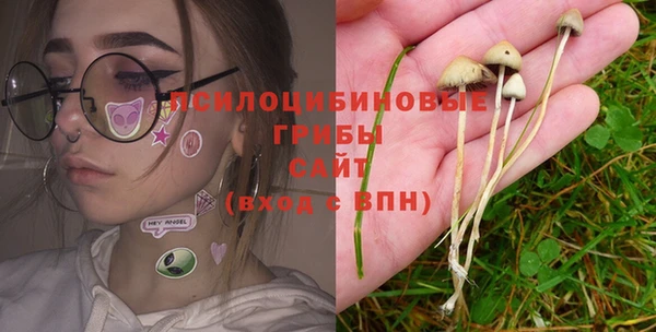 стаф Алексин