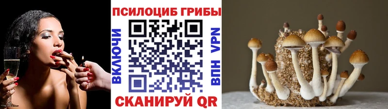 Галлюциногенные грибы мицелий  kraken ONION  Камешково 